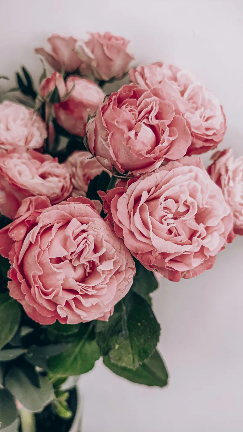 Fresh flowers & deck décor by Noa Shapira in Tel Aviv